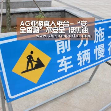 AG亚游真人平台