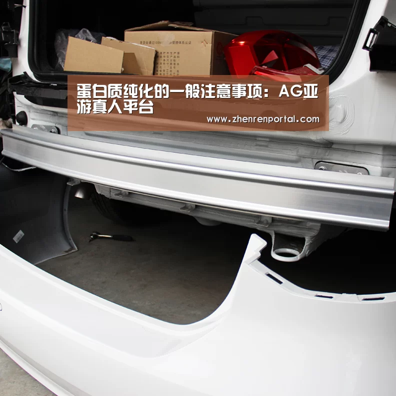 蛋白质纯化的一般注意事项:AG亚游真人平台(图2) AG真人