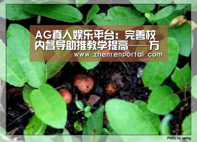 AG真人娱乐平台:完善校内督导助推教学提高——方城县特殊教育学校开展优质教案评比活动(图4) AG真人平台
