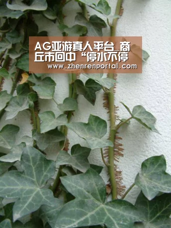 AG亚游真人平台_商丘市回中“停水不停课”保障学生学习(图1) AG真人娱乐平台